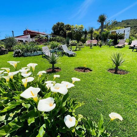 Casa Lazaro, Tegueste エクステリア 写真