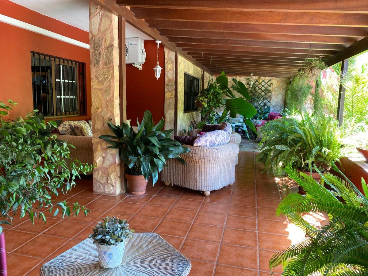 Casa Lazaro, Tegueste エクステリア 写真