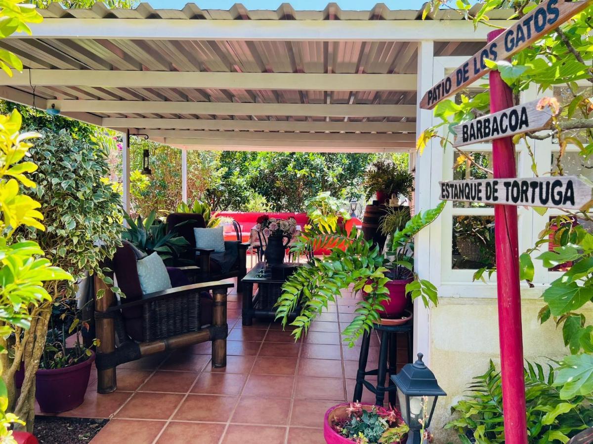 Casa Lazaro, Tegueste エクステリア 写真